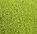 Brentwood Poodle Bedrest, Lime