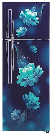 LG 308 L 2 Star Smart Inverter Frost-Free Double Door Refrigerator (GL-T322RBCY, Blue Charm, Convertible Plus)