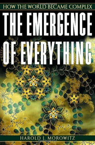 Download The Emergence of Everything: How the World Became Complex (English Edition) PDF