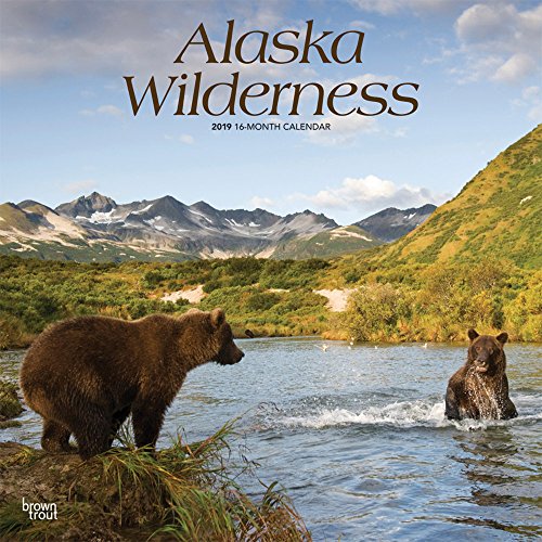 READ Alaska Wilderness 2019 12 x 12 Inch Monthly Square Wall Calendar, USA United States of America Nonco [T.X.T]