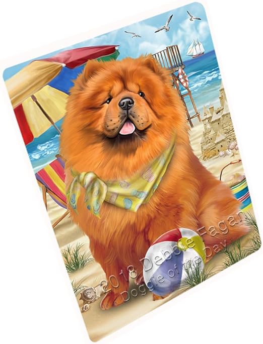 pet friendly blanket