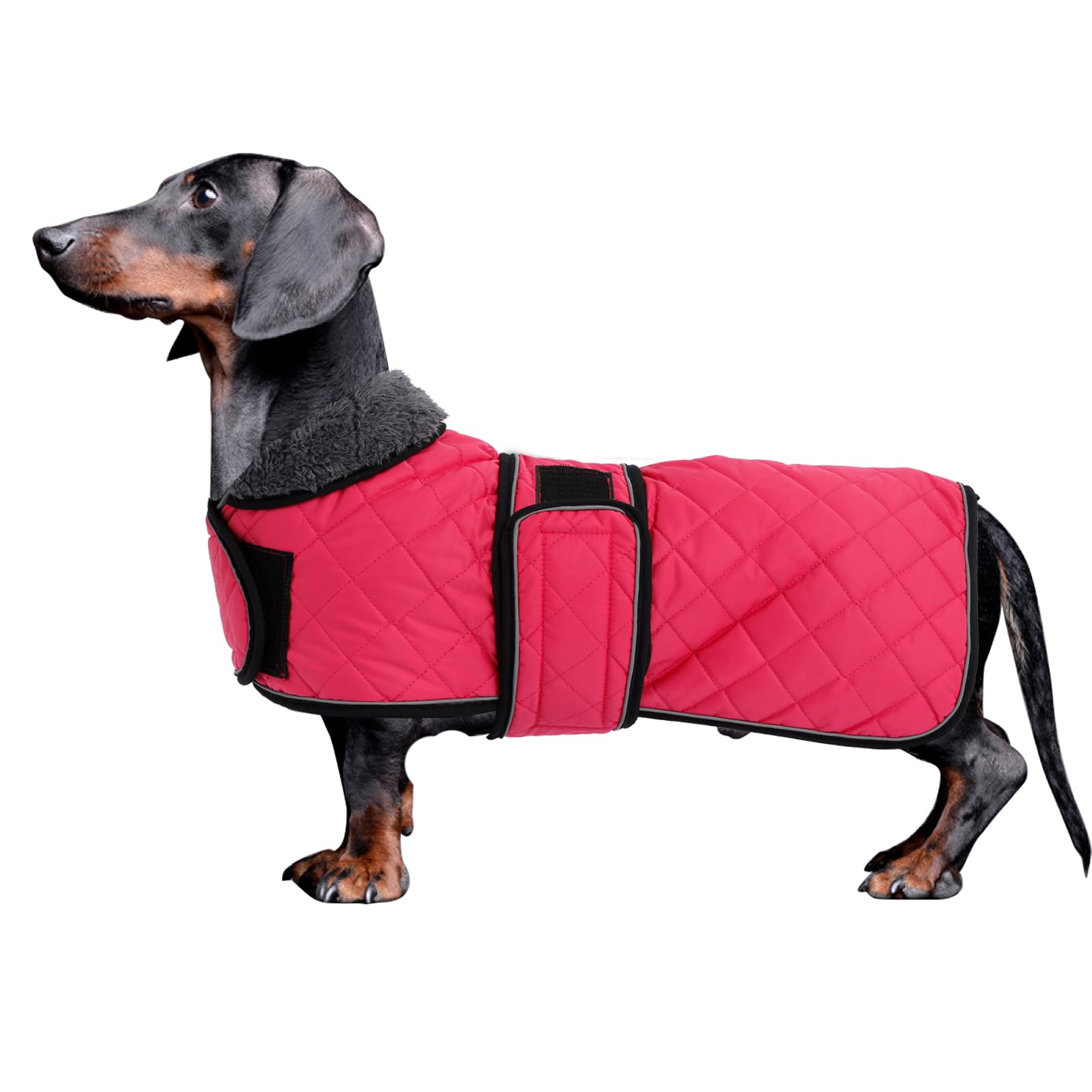 Morezi Dachshund Winter Coat - Padded Fleece Lining, Adjustable Bands - Pink - S