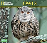National Geographic Owls 2019 Wall Calendar by 
