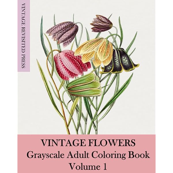 色鉛筆画 Memories パンジー ａ４ 額付き 手描き 原画 花 風景画 Yotto Www Pavican Com Br