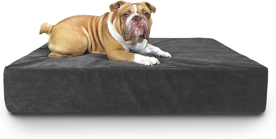 highest rated dog bed