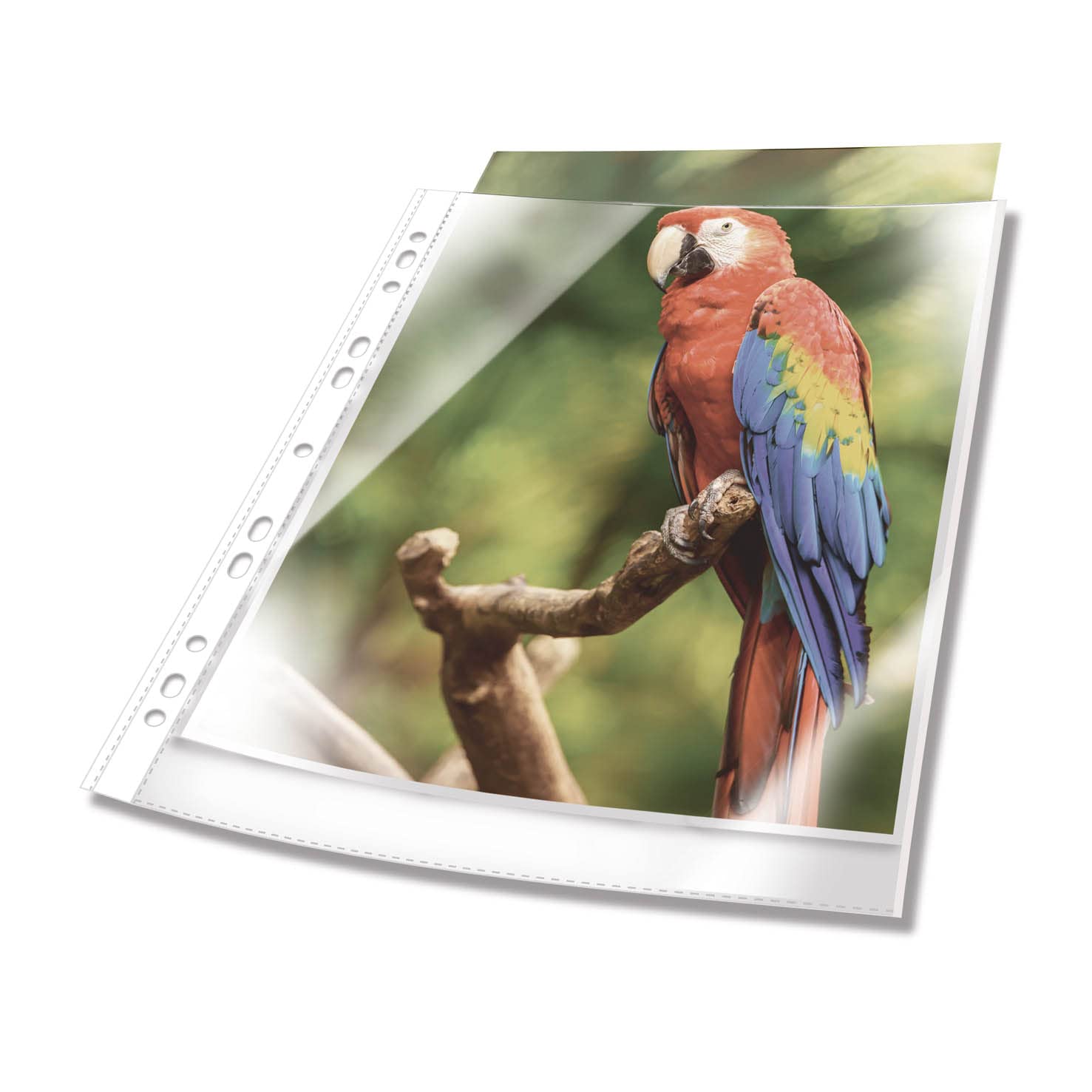 Durable Premium A4 Poly Pockets with Coloured Edge White - Crystal Clear and Made from PP - Pack of 100 Plastic Wallets