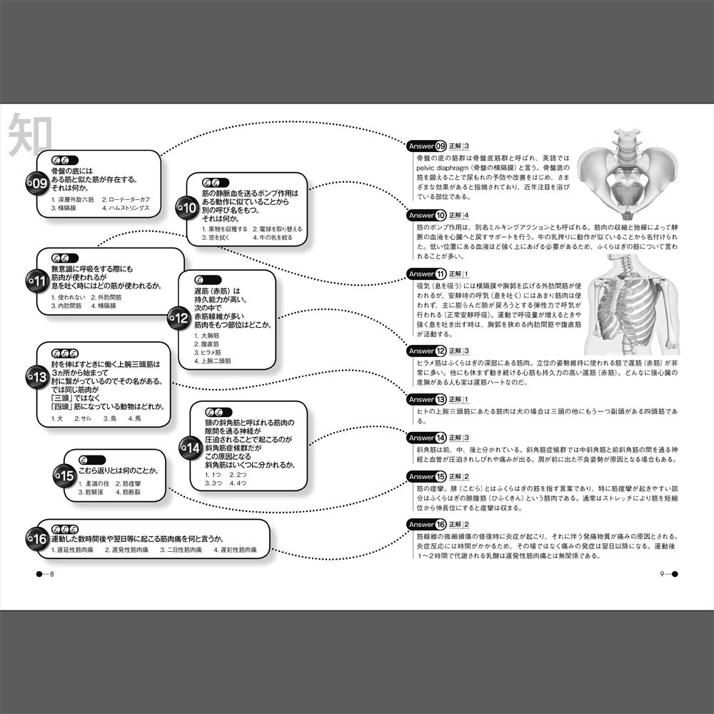 最大51 オフ Do You Know Muscle Yes I Am A Muscle Doctor 筋肉検定 公式問題集 筋肉のこと知ってますか クイズで筋肉まるわかり 増補改訂版 ラウンドフラット 谷本道哉 荒川裕志 書籍 雑学 ネタ帳 送料無料 キャンペーン Idvn Com Vn