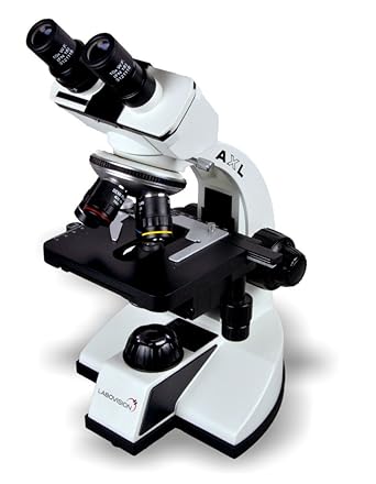 Labovision Model Axl Binocular Compound Microscope With Led Illumination System Amazon In Industrial Scientific