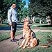 FAIRWIN Leather Dog Leash - 6 Ft Heavy Duty Braided Leash for Large, Medium & Small Dogs (S: 1/2