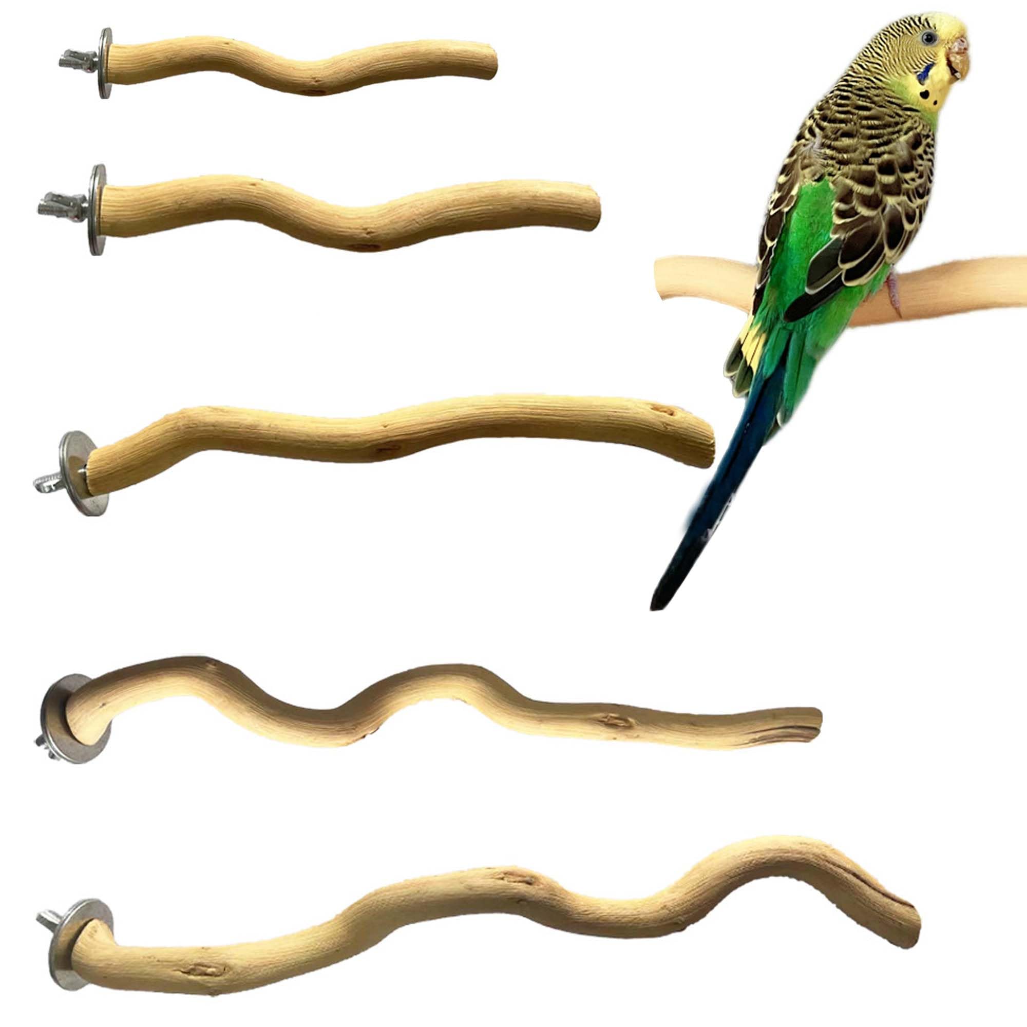 Allazone 5 PCS Natural Wood Parrot Perch Stand Set - Parrot, Budgie, Cockatiel, Lovebird - Bird Cage Perch - Wooden Parakeet Climbing Standing Branches Toy for Small Birds