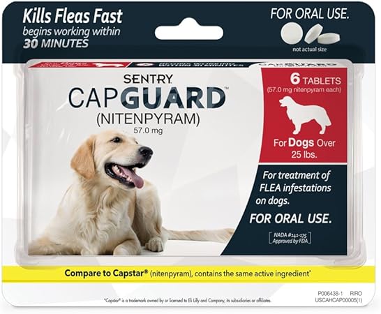 buy white golden retriever puppy