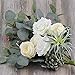 Winlyn Pack of 4 Artificial Silver Dollar Eucalyptus Leaves Spray Greenery Stems in Grey Green 25.5