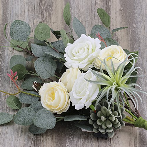 Supla 6 Pcs Artificial Silver Dollar Eucalyptus Leaf Spray in Green 25.