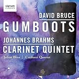 DAVID BRUCE:GUMBOOTS - JOHANNES BRAHMS:CLARINET    image