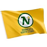 Desert Cactus Minnesota North Stars Flag NHL 100% Polyester Indoor Outdoor 3x5 feet National Hockey League Team Flags (Vintage Flag #2)