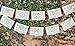 Paper Full of Wishes Medium White Tissue Papel Picado Banner - 12 Panels Over 16 Feet Long - Ideal for Baptisms, Weddings, Mexican Celebrations, Etc.