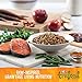 Wellness TruFood Baked Nuggets Natural Grain Free Dry Dog Food, Salmon, Turkey Liver and Flaxseed Recipe, 3-Pound Bag