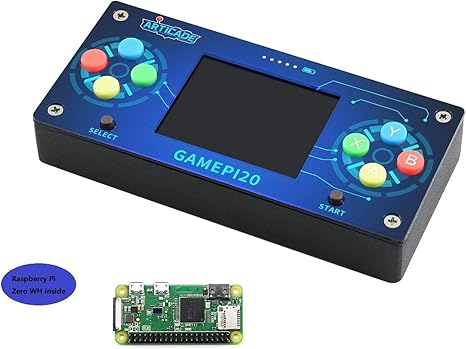 raspberry video game