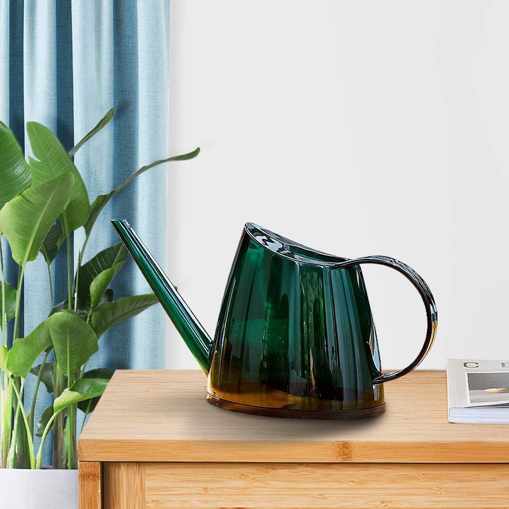 Evertree Watering Can Indoor, Small Watering Can for House Plants, Bonsai, Succulents and Flowers, Long Spout, with Plant Mister Spray Bottle : Garden & Outdoor