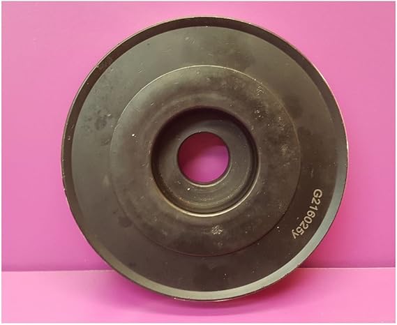 Générique – Polea de cigüeñal/Damper Peugeot 206 1.4 HDi ...