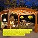 Brightech Ambience Pro - Waterproof Solar LED Outdoor String Lights - Hanging 2W Vintage Edison Filament Bulbs - 27 Ft - Create Market Ambience On Your Deck, Pergola