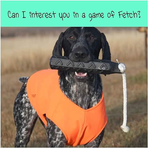 german shorthair hunting vest