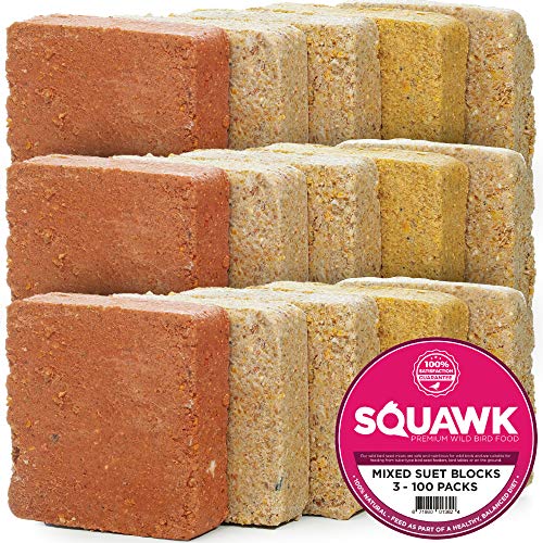 SQUAWK Suet Fat Blocks Premium Garden Wild Bird Food Enhanced