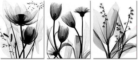 Amazon Com Visual Art Decor 3 Pieces Black And White Abatract Transparent Flowers Picture Canvas Prints Elegant Floral Simple Life Painting Formodern Home Office Bedroom Bathroom Wall Decoration Ready To Hang Posters visual art decor 3 pieces black and white abatract transparent flowers picture canvas prints elegant floral simple life painting formodern home office