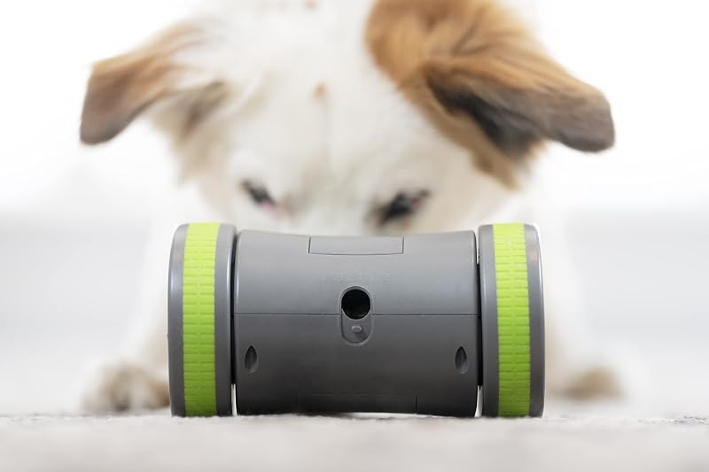 Kibble Chase - Dispensador de Comida e Petiscos para Cães, Brinquedo Interativo Inteligente para Cães, Funcionado a Pilhas, Resistente