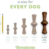 Benebone Zaggler Rolling Dog Chew Toy Real Chicken Giant Breeds USA view 4