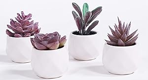 LITA Artificial Succulent Plants Fake Succulents Small Plants in White Ceramic Potted for Indoor Decor Office Room Desk Decoration4 Pots (Purple-1)