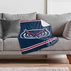 Florida Atlantic University Primary Logo Stripes