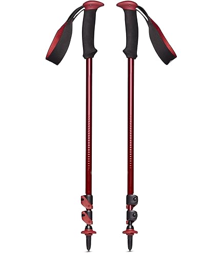 Burton x B Diamond Expedition Poles L 新品 111589_2_600x600_crop_center.