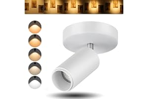 Ajbvp 5CCT LED Ceiling Spotlight 12W Dimmable Spotlight Ceiling Light,Zoomable15°/24°/36°/45°/60°,2700K/3000K/3500K/4000K/5000K,for Living Room Spotlight Indoor (White, 12W)