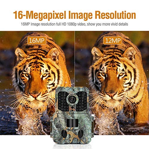 2 Clobo+Waterproof+Wildlife+Scouting+120%25C2%25B0Wide