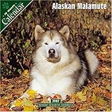 Alaskan Malamute 2007 Wall Calendar by 