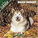 Alaskan Malamute 2007 Wall Calendar by 