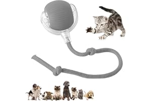 DVHNMK Chewie Viral Rolling Pet Ball, Interactive Cat & Dog Toy, 360 Smart Automatic Rolling Ball (Grey)