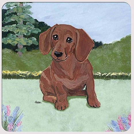 dachshund coasters