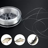 Fantasyon 200M Clear Nylon Fishing Line 0.26mm 43lb Spool Monofilament Wire view 3