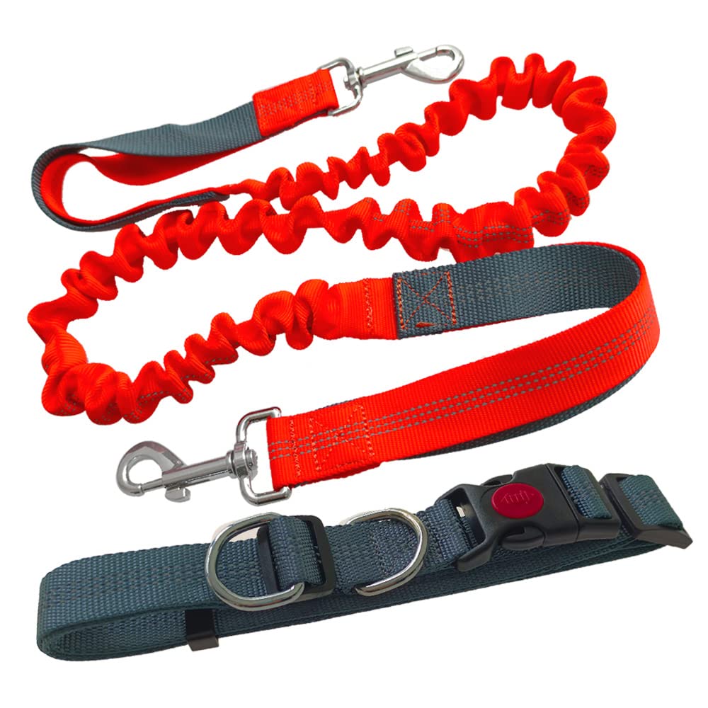 Aiqeer Orange Hands Free Dog Leash, Adjustable Waist Belt and Retractable Bungee Leash Kit, with Reflective Stitching (Grey Handle)