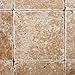 Walnut Travertine 4 X 4 Tumbled Field Tile - 4-pcs. Sample Set