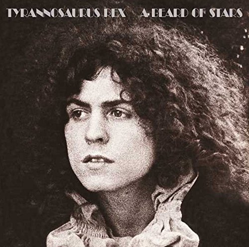 Tyrannosaurus Rex - By the Light of a Magical Moon Lyrics - Zortam Music