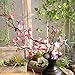 CYCTECH® Artificial Silk Cherry Blossom Branches Flowers Stems Fake Flower Arrangements for Home Wedding Decoration (Pink)