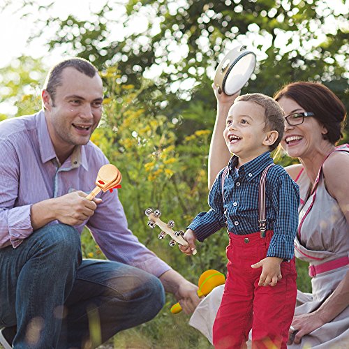 image for aGreatLife Montessori Musical Toys for Toddlers - Assorted Wooden Inst