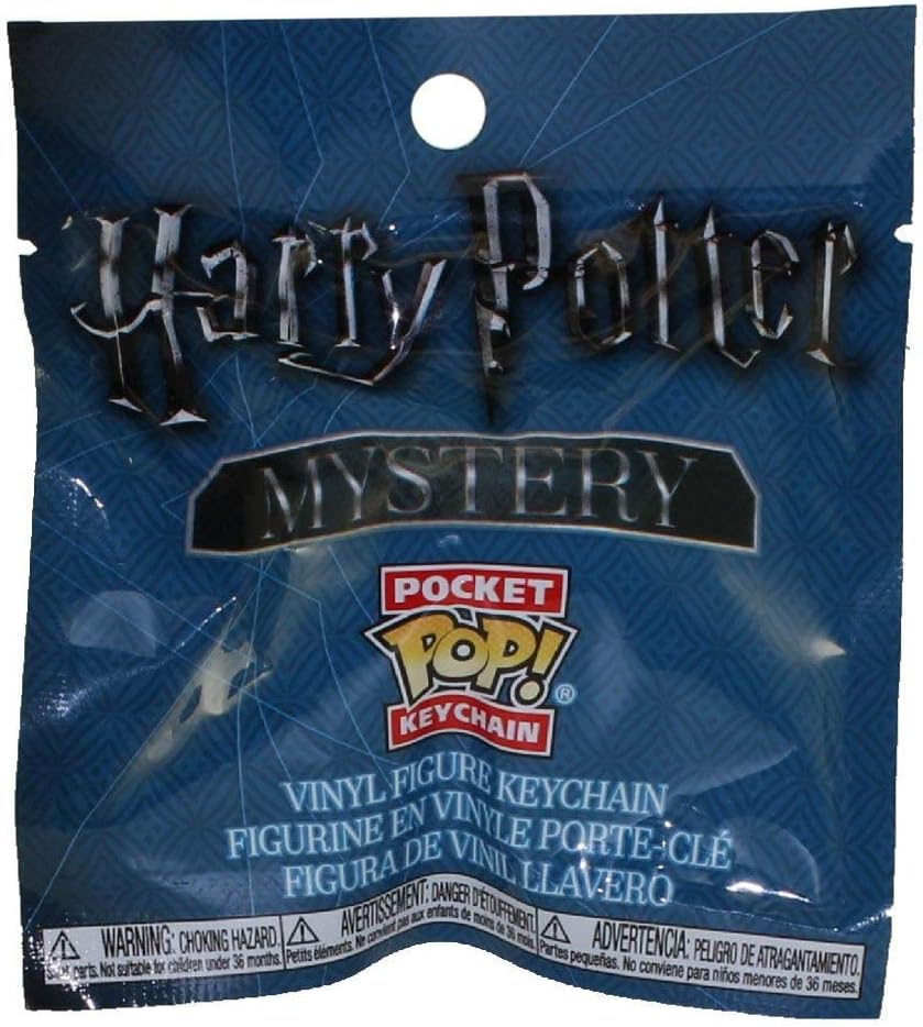 mystery pocket pop keychain