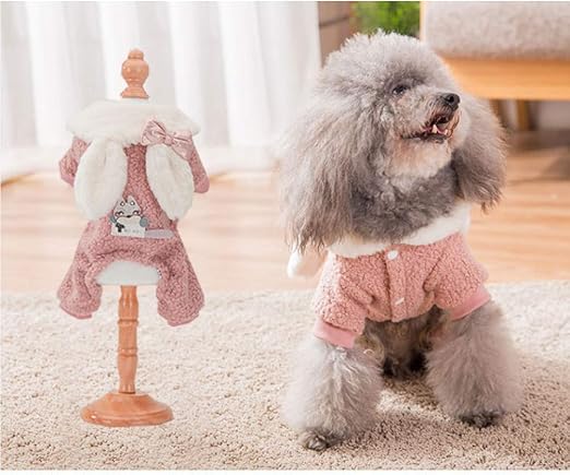 amazon cosas para perros