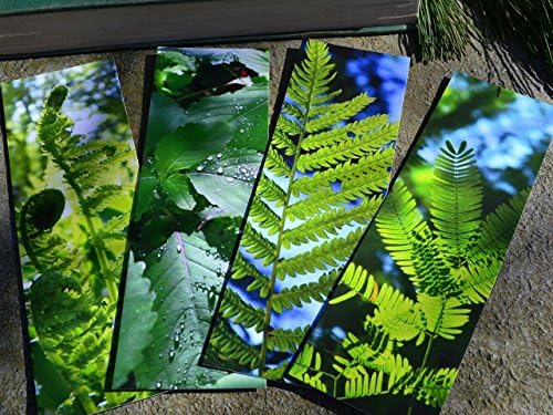 Garden Fern Bookmarks, Set of 4 - Original Photography - Individually Printed on Exquisite Paper with Premium Inks - In Clear Protective Sleeve