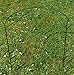Feitore Plant Support Stakes, 2 Pack Metal Garden Plant Supports Plant Support Cage Half Round Plant Support Ring Garden Flower Plant Supports for Tomato, Peonies, Roses, Hydrangea 9.8