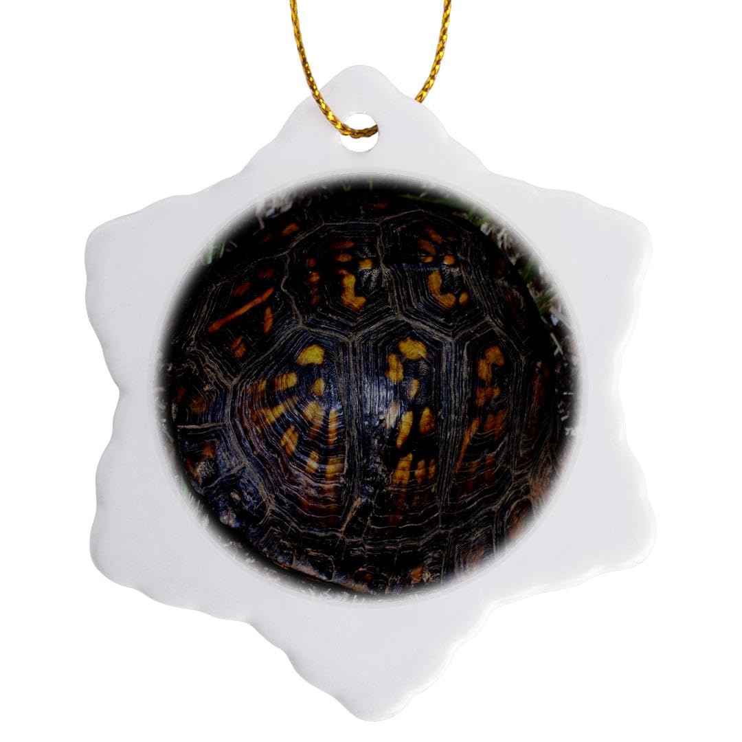 3dRose Terrapin Box Turtle Shell Snowflake Ornament, Multi-Colour, 3-Inch